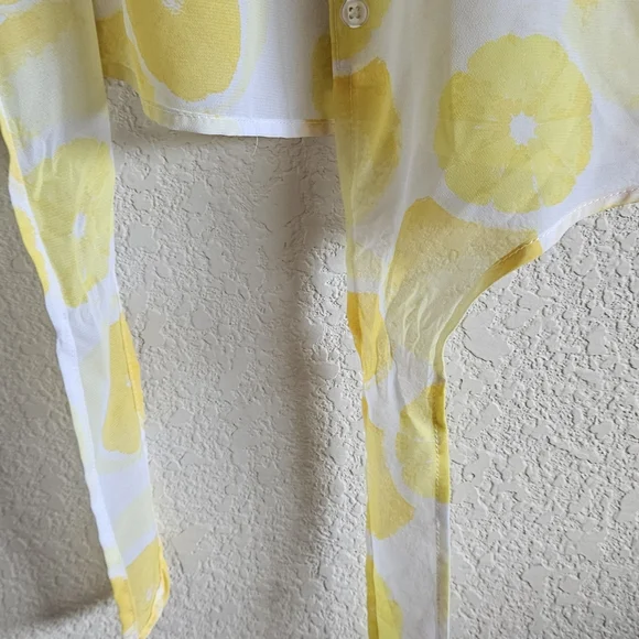 Sheer lemon button and tie front shirt - Picture 6 of 8